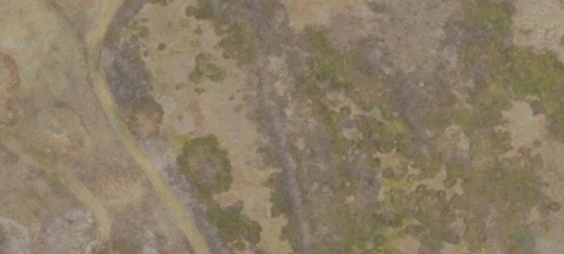 Gustine, CA 95322