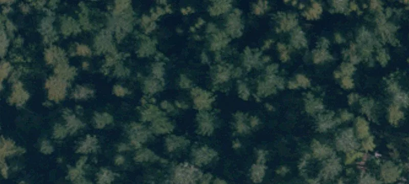 Guerneville, CA 95446