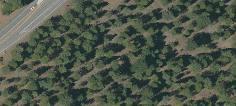 Burney, CA 96013