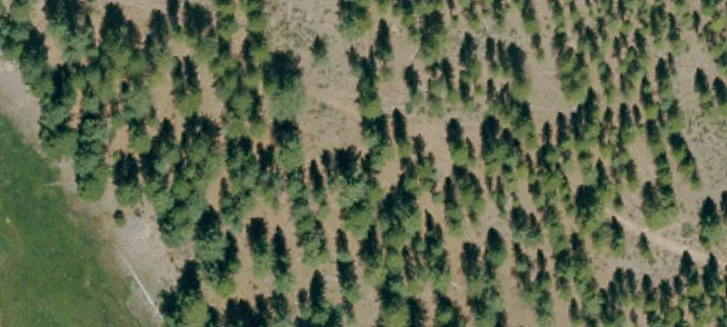 Susanville, CA 96130