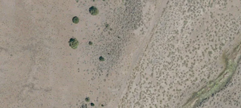 Susanville, CA 96130