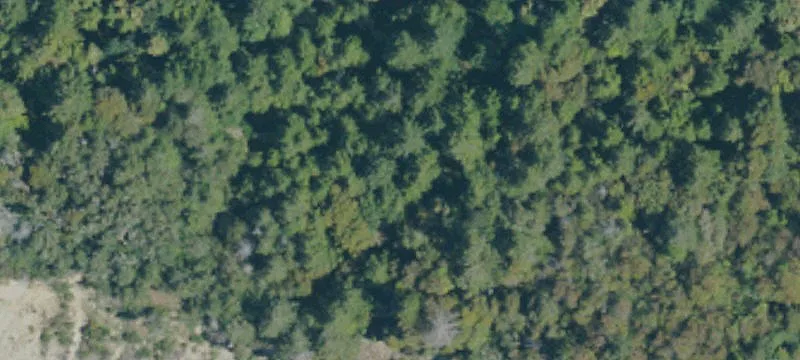 Redway, CA 95560