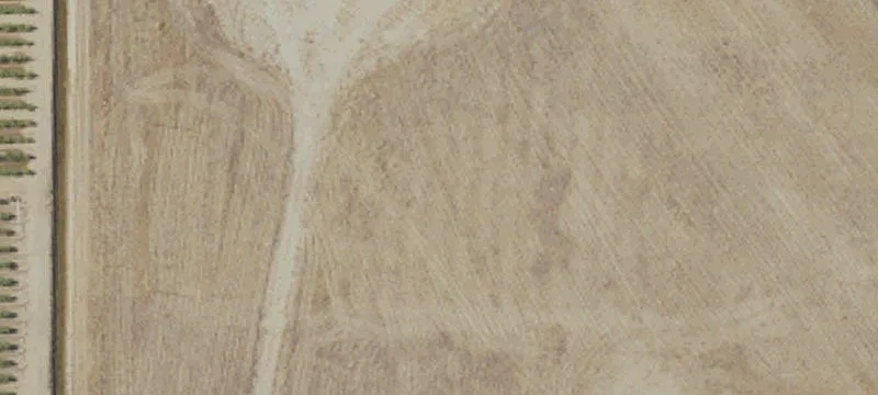 Kingsburg, CA 93631