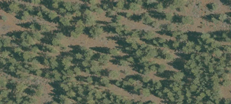Mcarthur, CA 96056