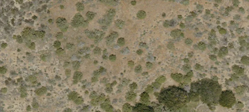 Lebec, CA 93243