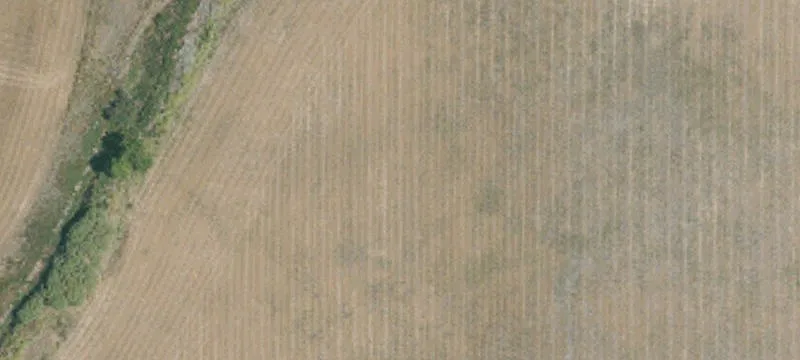 Susanville, CA 96130
