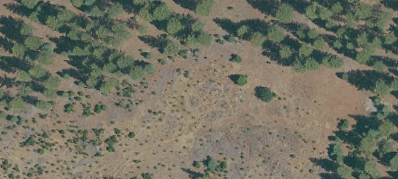 Bieber, CA 96009