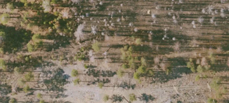 Willows, CA 95988