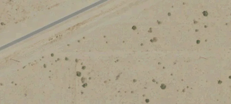 Cantil, CA 93519