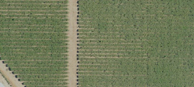 Fowler, CA 93625