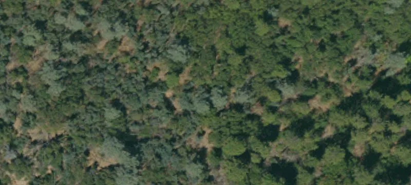 Redding, CA 96003