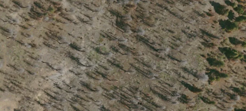 Elk Creek, CA 95939