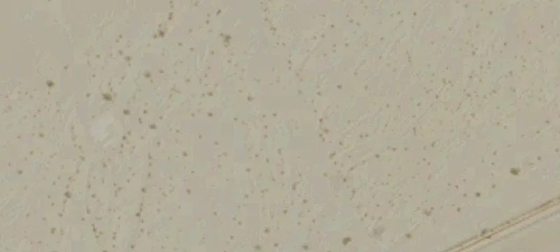 Desert Center, CA 92239