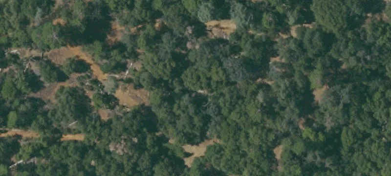 Camino, CA 95709