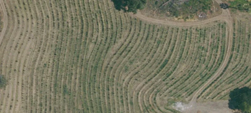 Saint Helena, CA 94574