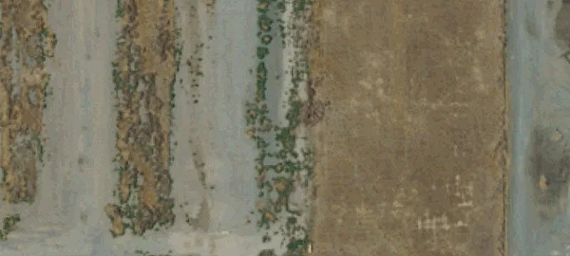 Delano, CA 93215