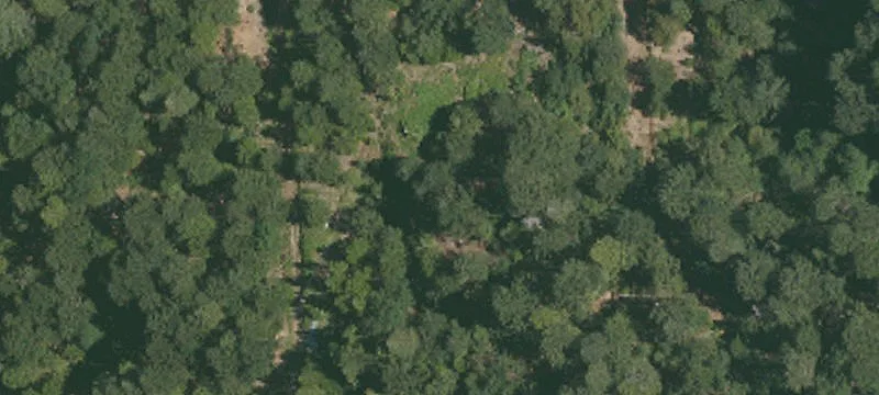 Alleghany, CA 95910