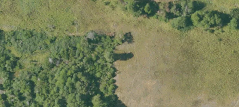 Weed, CA 96094