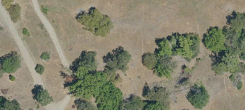 Covelo, CA 95428