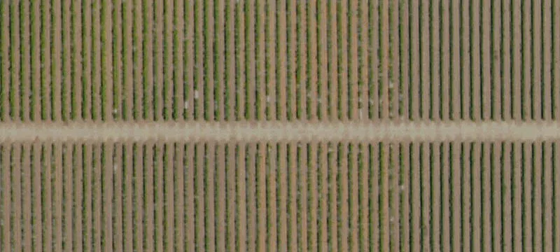 Bakersfield, CA 93307