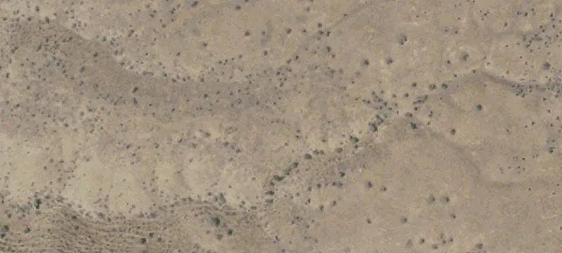 Shandon, CA 93461