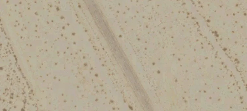 Desert Center, CA 92239