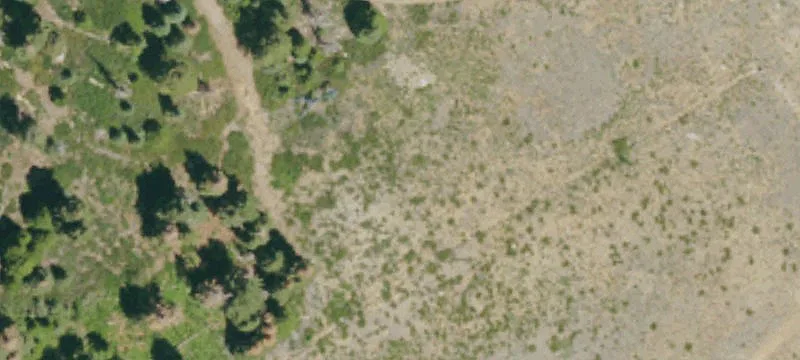 Homewood, CA 96141