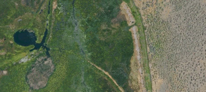 Litchfield, CA 96117