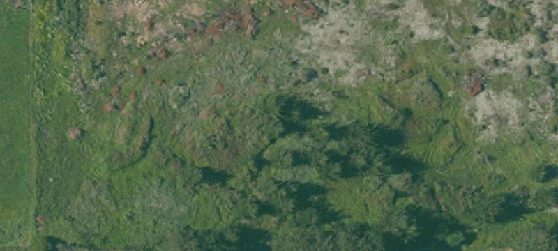 Fortuna, CA 95540