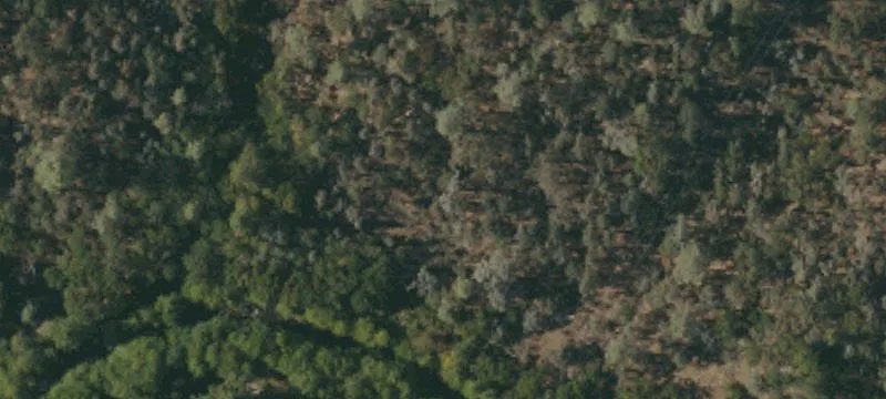 Whitmore, CA 96096