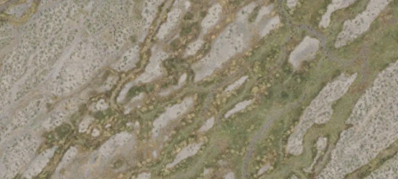 Litchfield, CA 96117