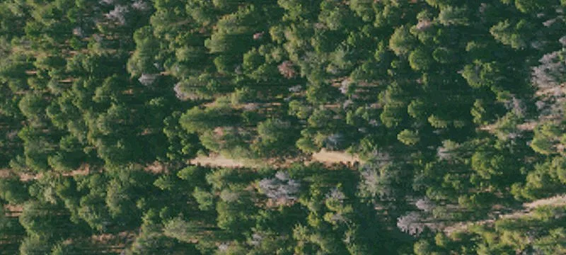 Willows, CA 95988