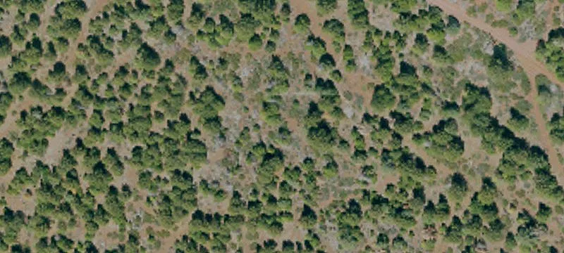 Susanville, CA 96130