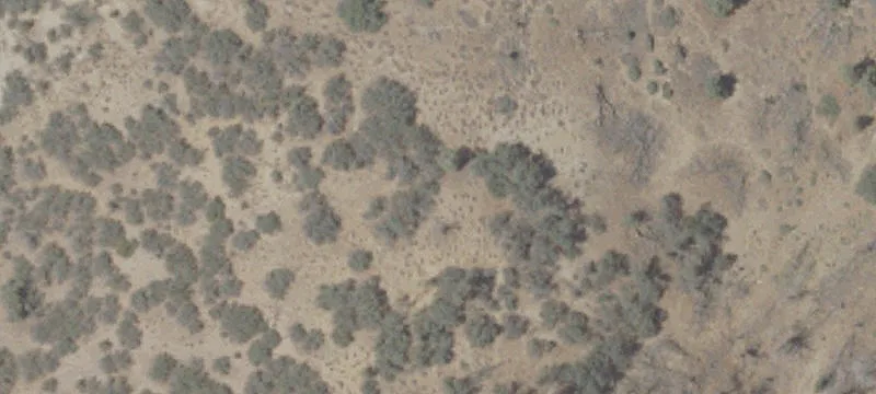 Willow Springs, CA 93560