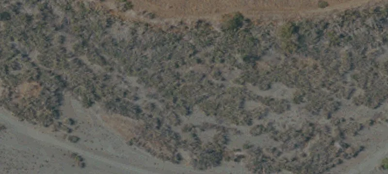 Orland, CA 95963