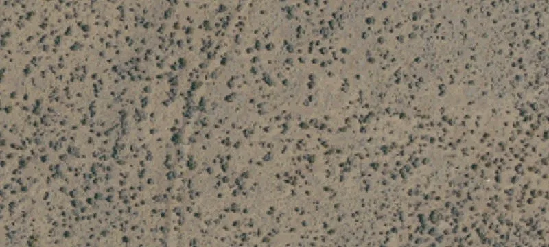 Ravendale, CA 96123