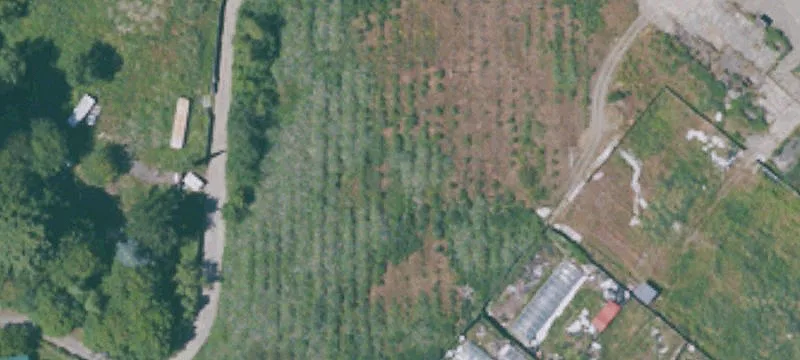 Myers Flat, CA 95554