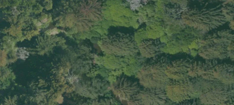 Loma Mar, CA 94021