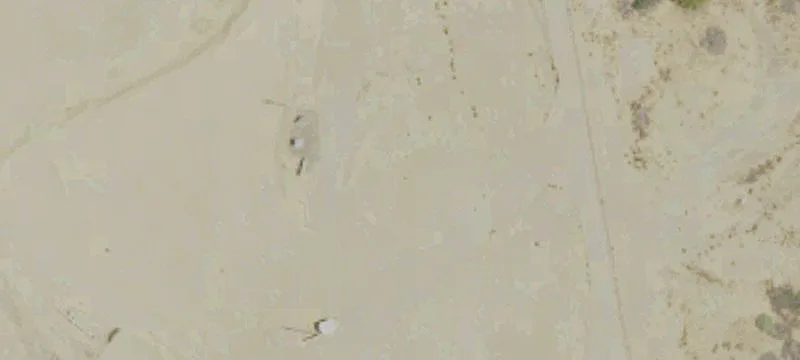 Lost Hills, CA 93249