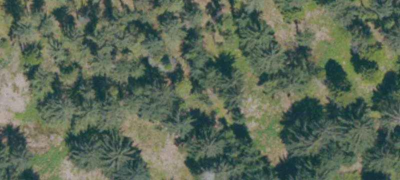 Trinidad, CA 95570