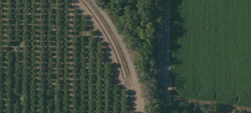 Orland, CA 95963