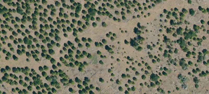 Susanville, CA 96130
