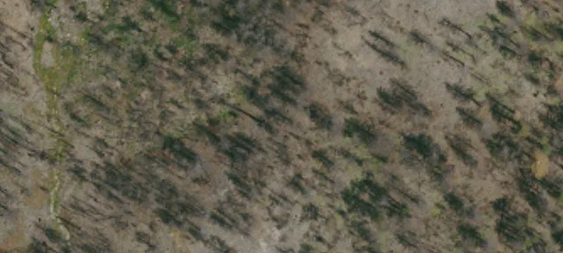Elk Creek, CA 95939