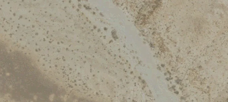 Desert Center, CA 92239