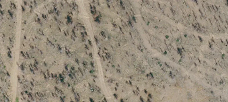 Susanville, CA 96130
