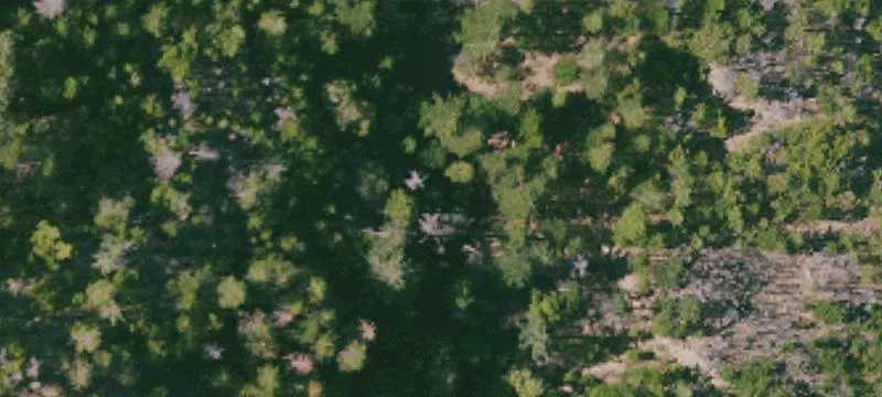 Willows, CA 95988