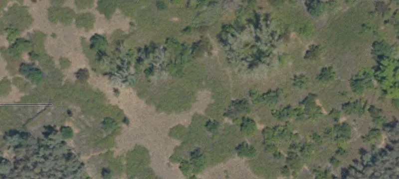Anderson, CA 96007