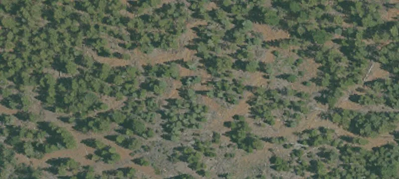 Mcarthur, CA 96056