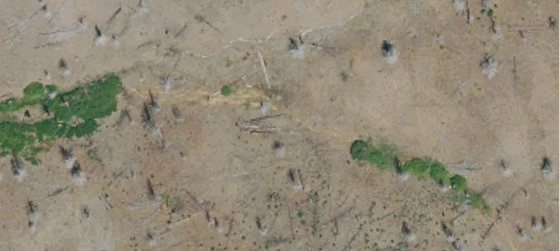 Susanville, CA 96130