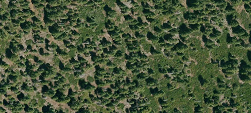 Susanville, CA 96130